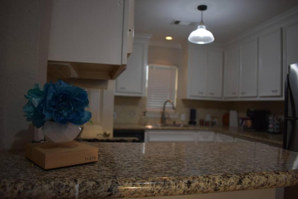 Townhouse Near Midtown Διαμέρισμα Χιούστον Εξωτερικό φωτογραφία
